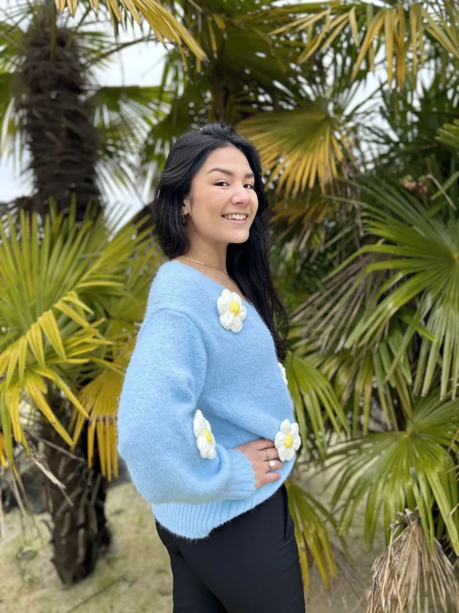 Pull Linda – Image 4