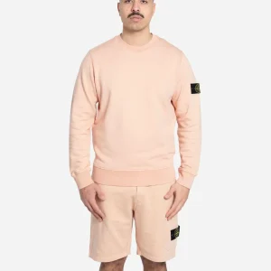 Sweatshirt Ras-du-Cou Plaster Pink