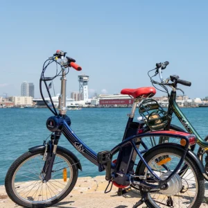 Vélo pliant SOLEX OERT